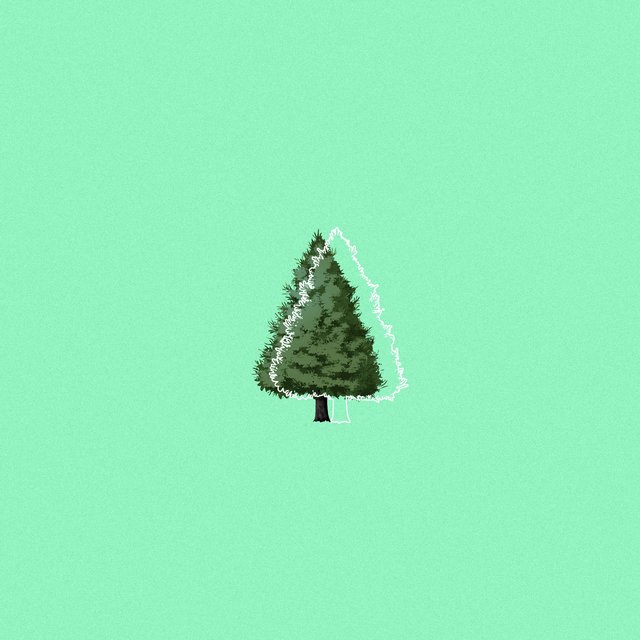 Evergreen