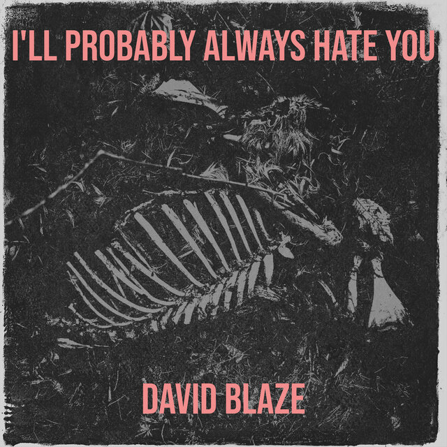 I'll Probably Always Hate You