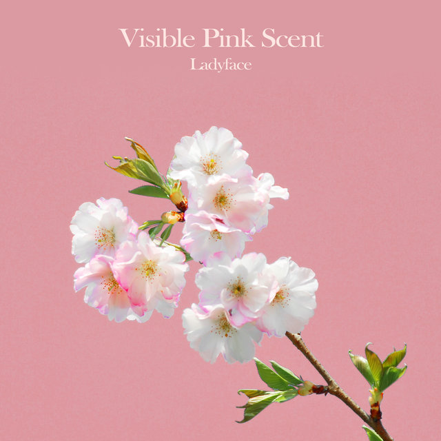 Visible Pink Scent