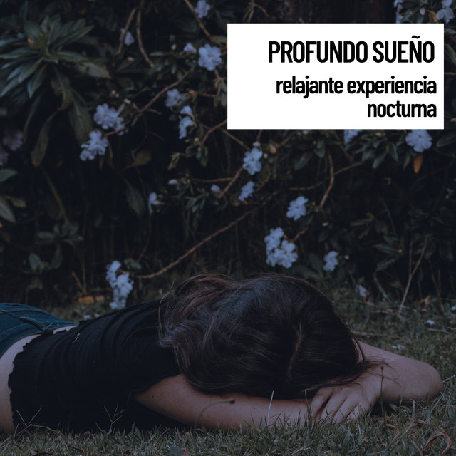 Sonidos Relajantes Profundo sueno: relajante experiencia nocturna