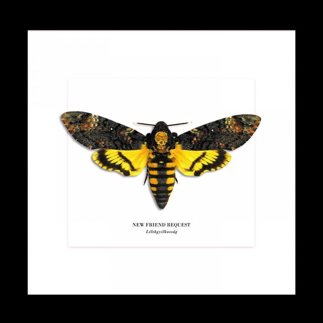 Cover art for album Lélekgyilkosság by New Friend Request