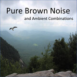 Pouring Rain with Pure Brown Noise
