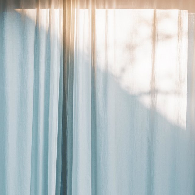 Morning Light