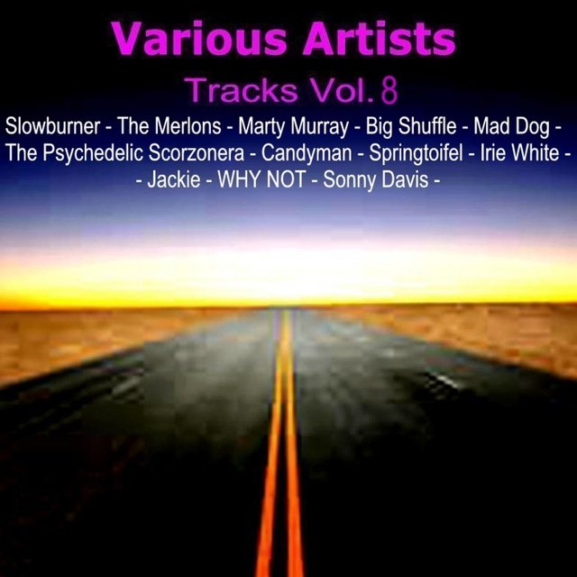 Tracks Vol. 8