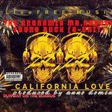 California Love 2