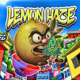 Lemon Haze