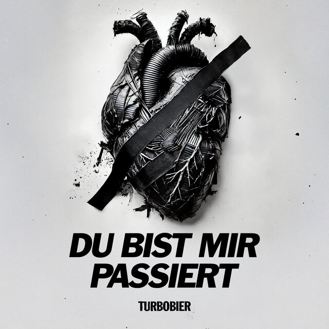 Du bist mir passiert