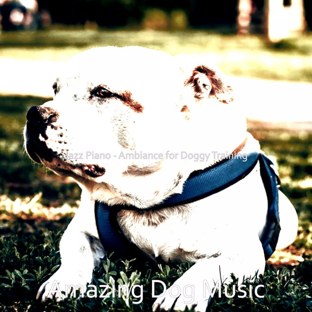 Jazz Piano - Ambiance for Doggy Training