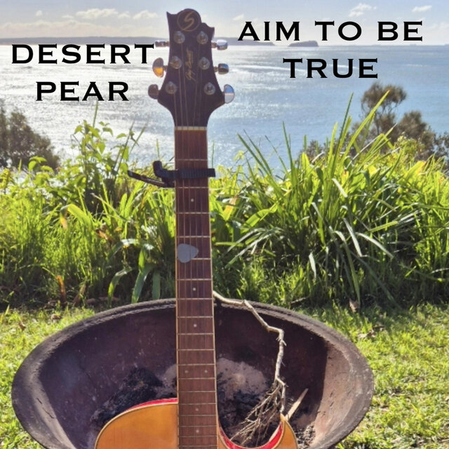 Cover art for album  by DESERT PEAR