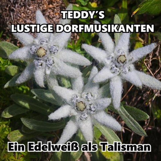 Ein Edelweiß als Talisman