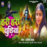 Hari Hari Chudiya