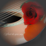 What Do You Say