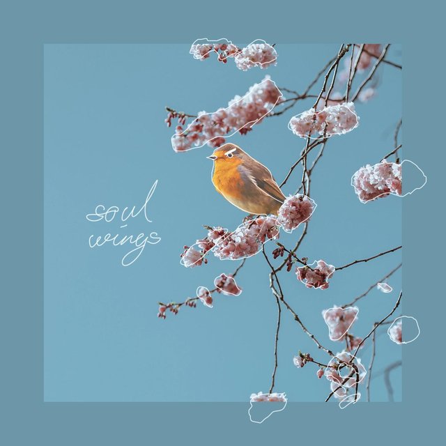 Soul Wings