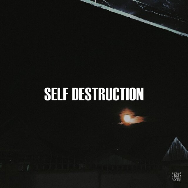 Self DESTRUCTION