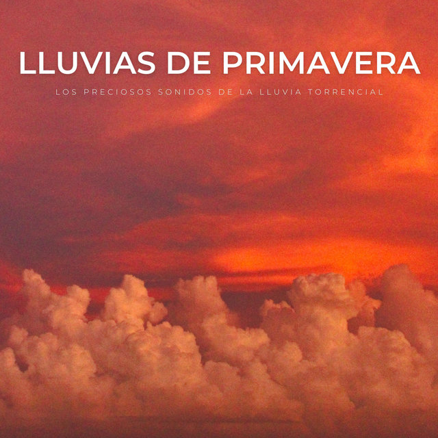 Lluvias De Primavera: Los Preciosos Sonidos De La Lluvia Torrencial