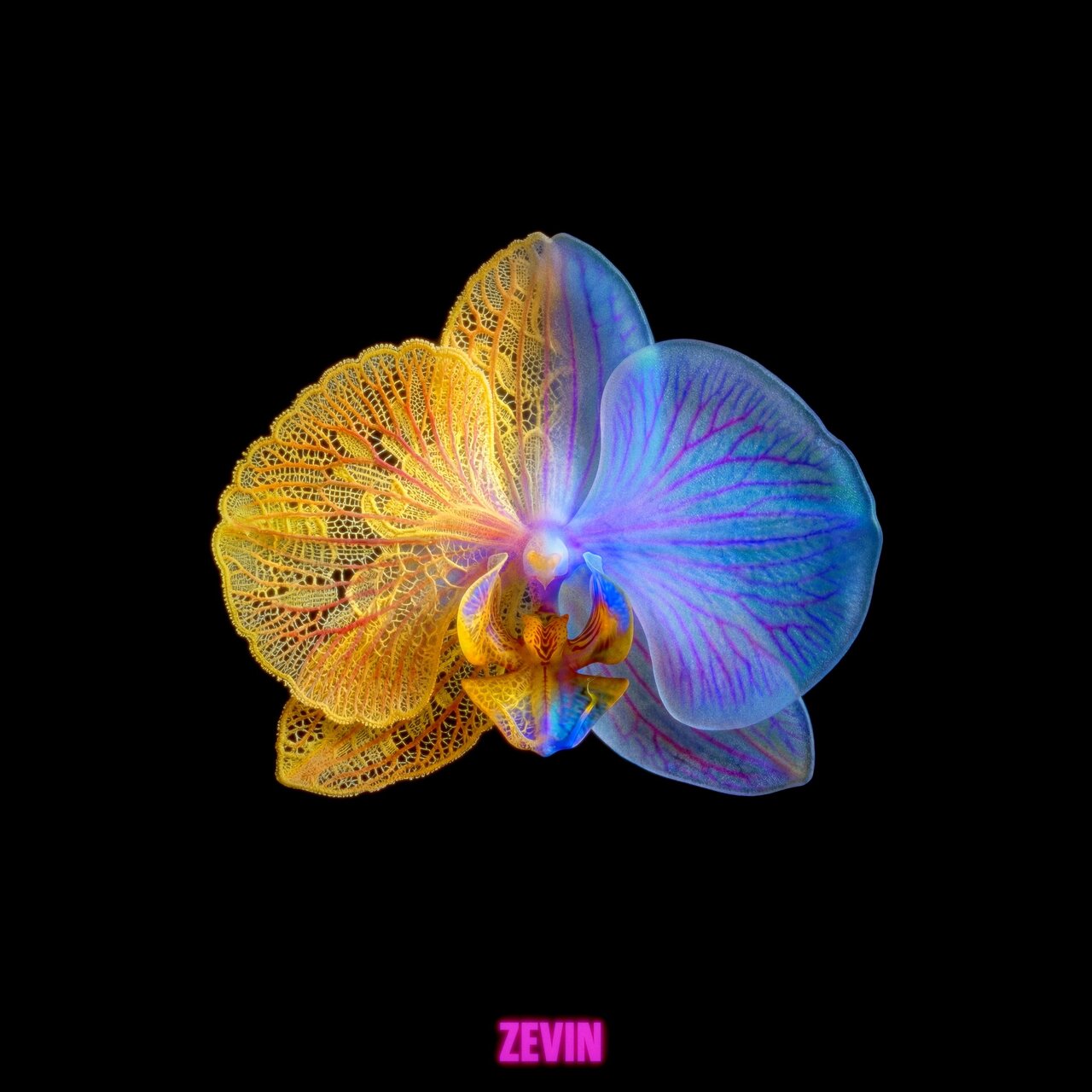 Zevin — My Mind cover artwork