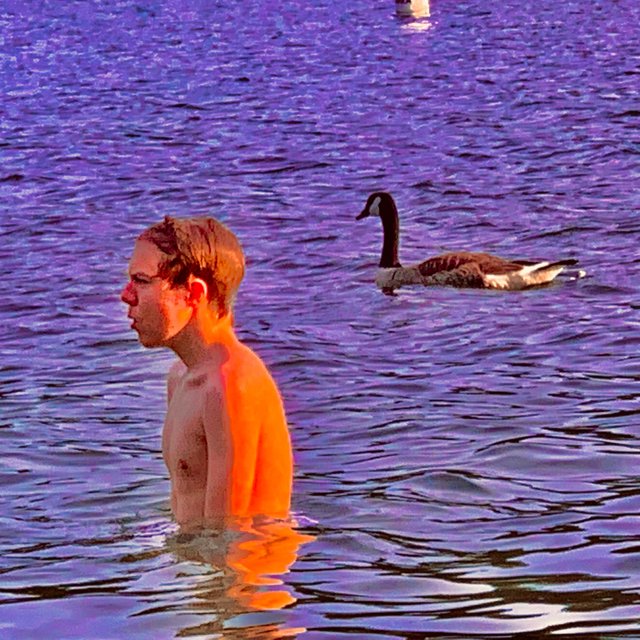ESCAPIST AND GOOSE