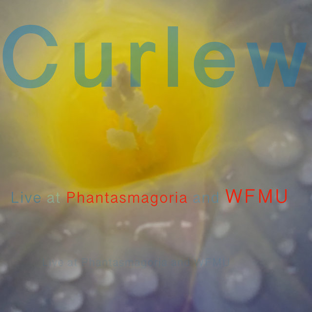 Phantasmagoria 1998 + WFMU 1997