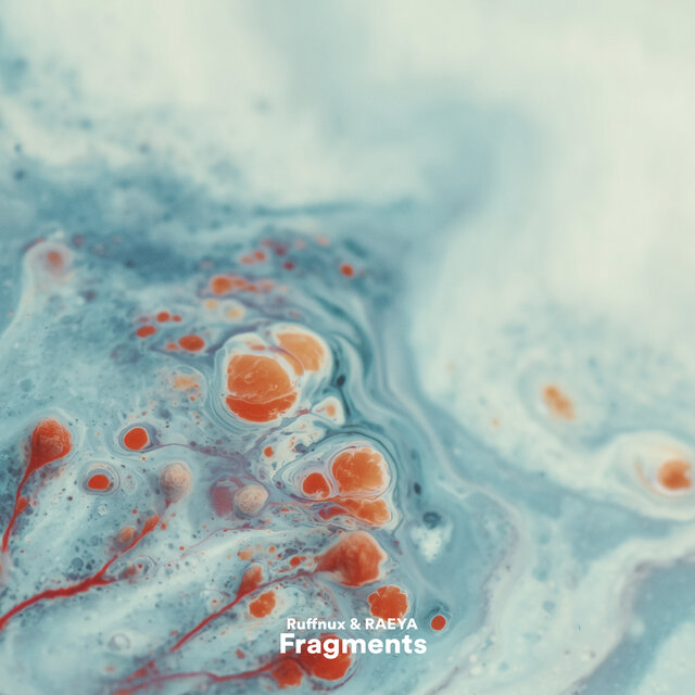 Fragments