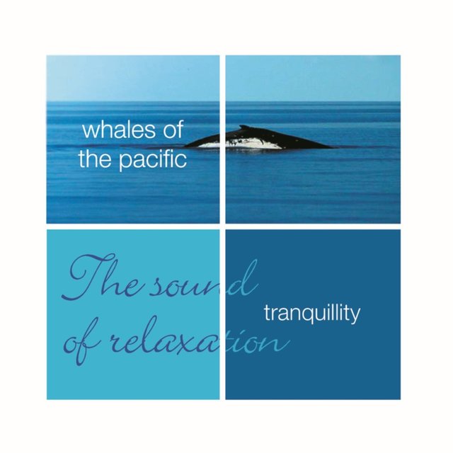 Tranquillity- Whales Of The Pacific