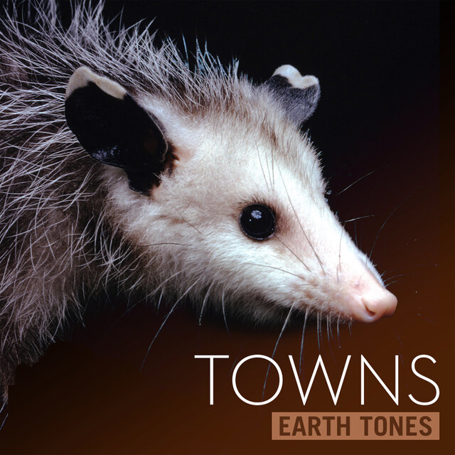 Earth Tones: Towns