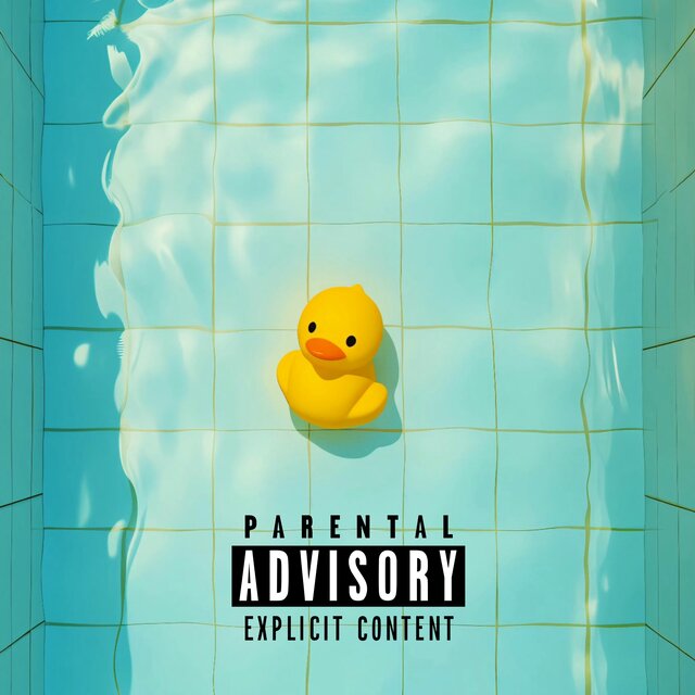 sPLASH