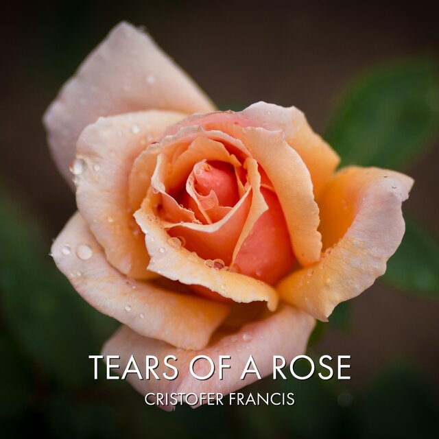 Tears of a Rose