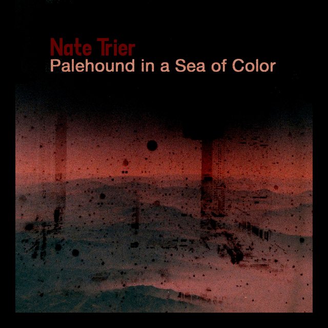 Palehound in a Sea of Color