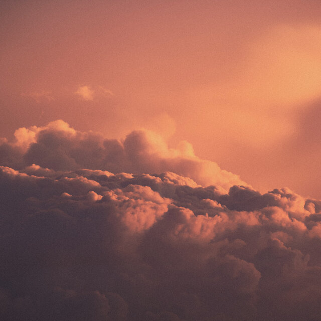 Vivid Pink Dreams