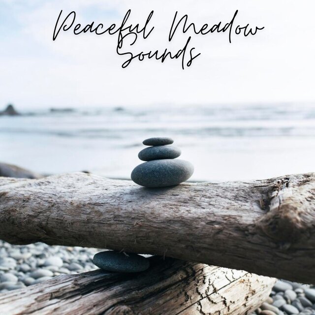 Peaceful Meadow Sounds