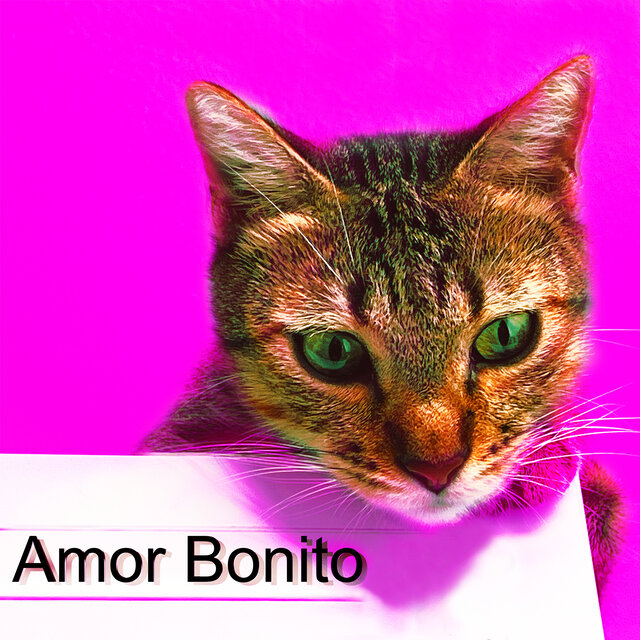 Amor Bonito
