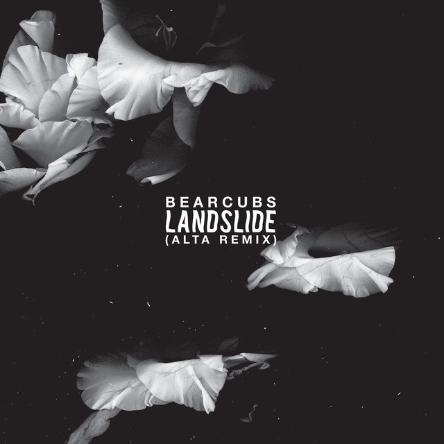 Landslide (ALTA Remix)