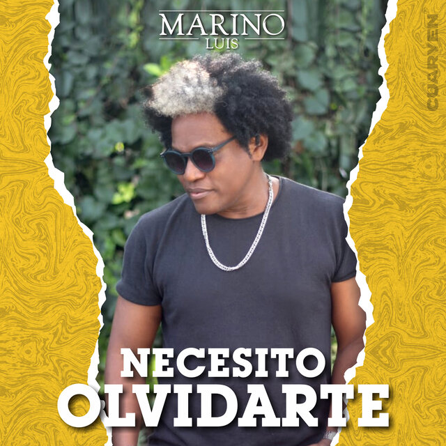 Necesito Olvidarte