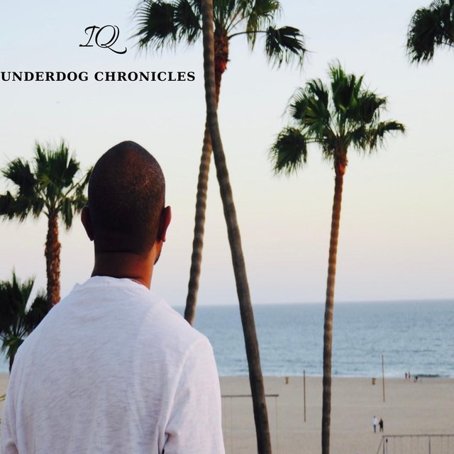 Underdog Chronicles