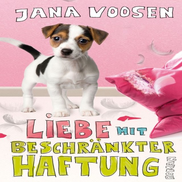 Liebe mit beschränkter Haftung (Roman)