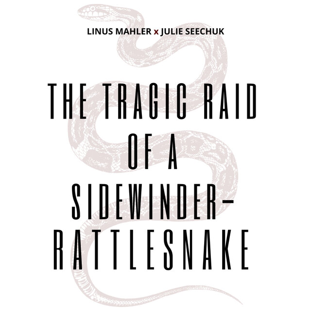 The Tragic Raid of a Sidewinder-Rattlesnake