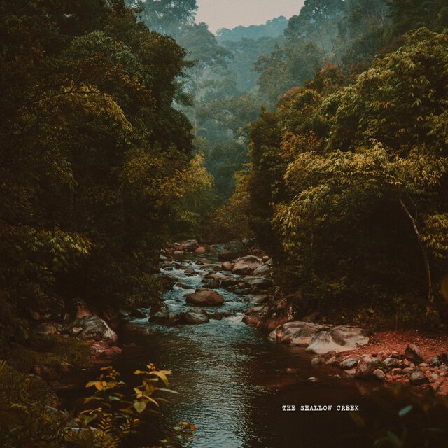 The Shallow Creek