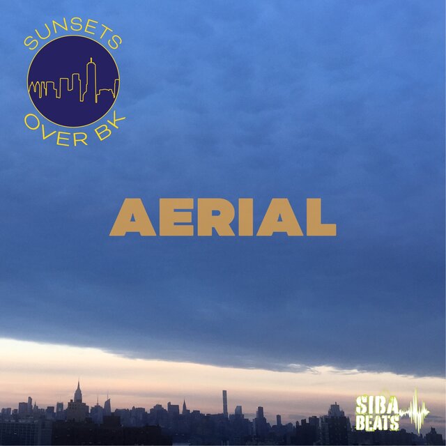 Aerial