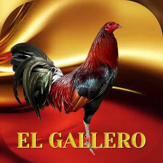 El gallero