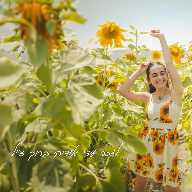 לילה טוב