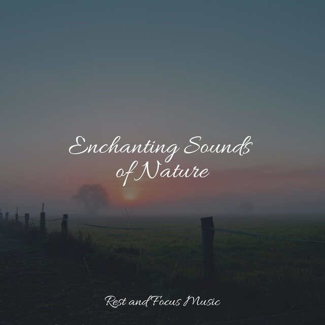 Enchanting Sounds of Nature