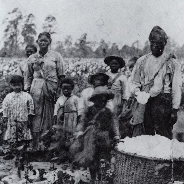 The Cotton Gin (circa 2012)