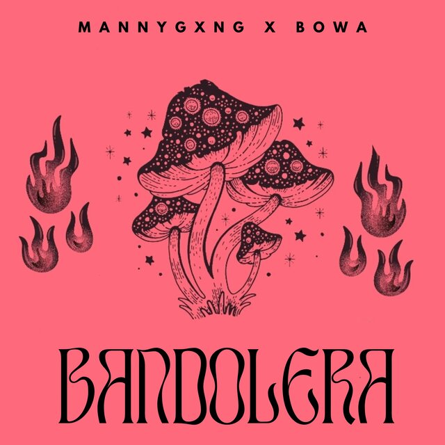 Bandolera