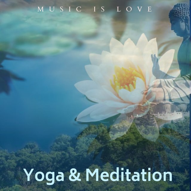 Yoga & Meditation