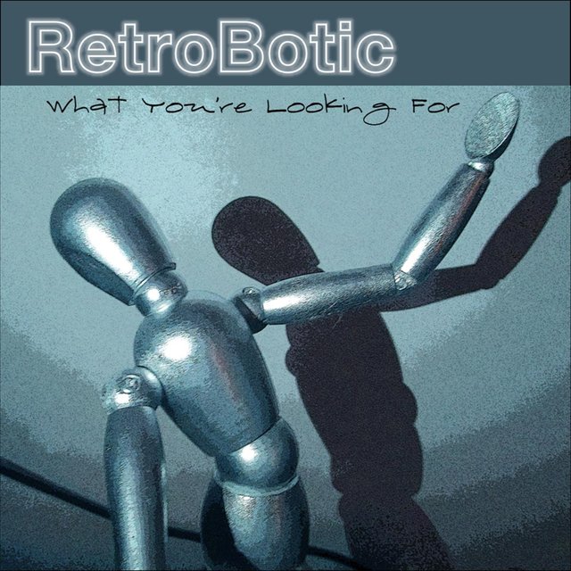 What You're Looking For