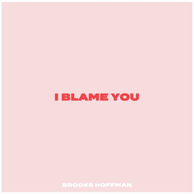I Blame You