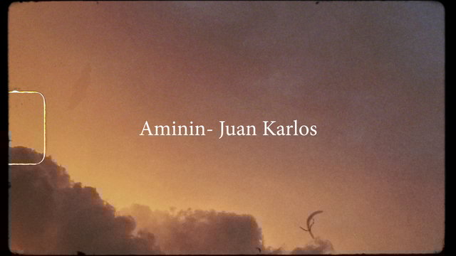 Aminin