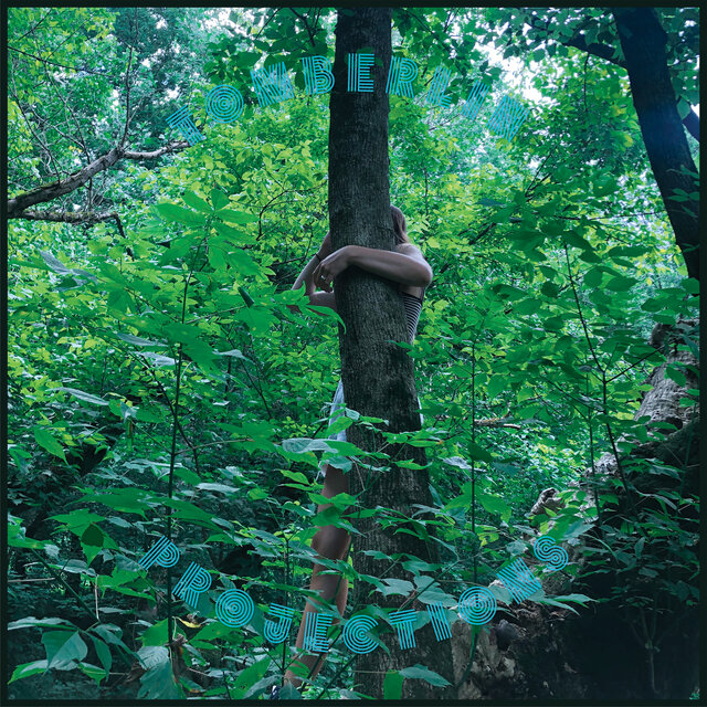 Cover art for album Projections by Tomberlin