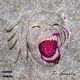 Cover art for album Half Tee Half Beast by Tee Grizzley