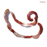 SIPPO (Instrumental)